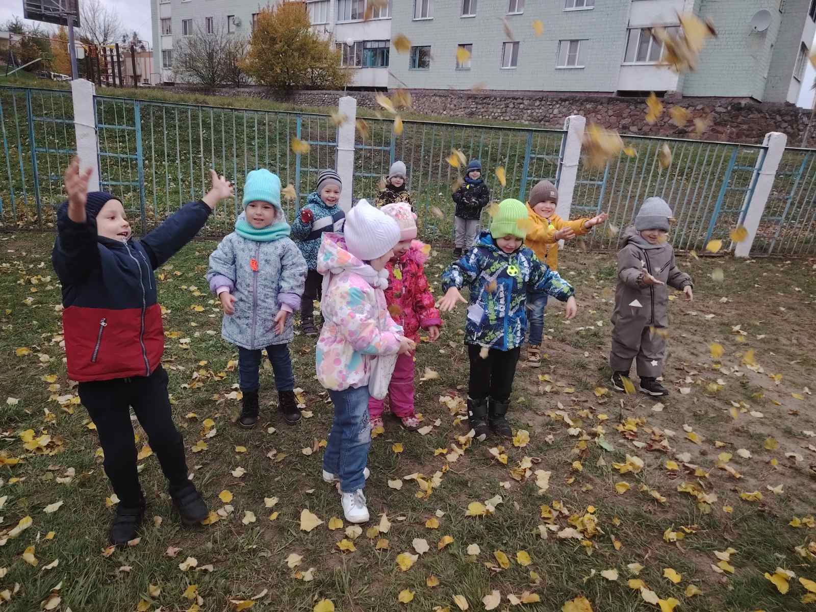 Узоры из осенних листьев