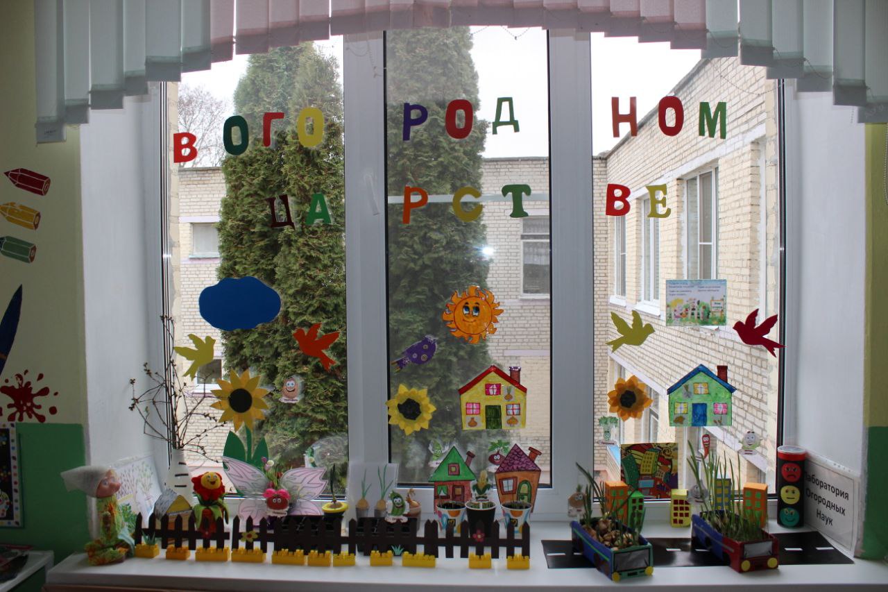 В огородном царстве