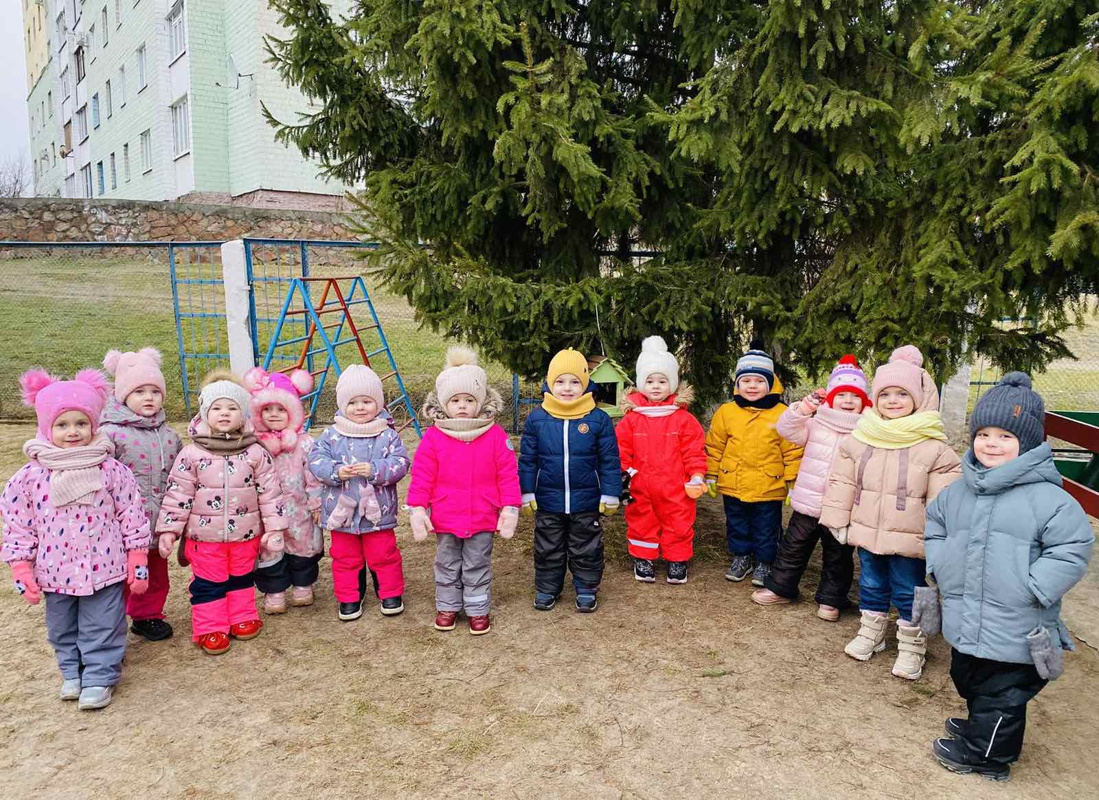 Помогите птицам зимой