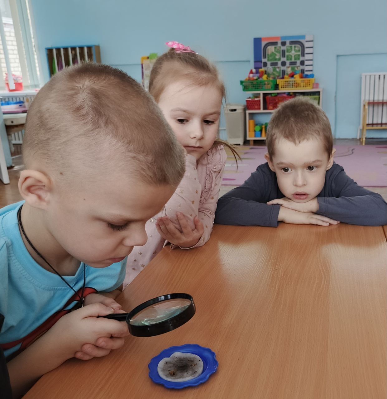 Белый снег – значит чистый? Наш маленький эксперимент!