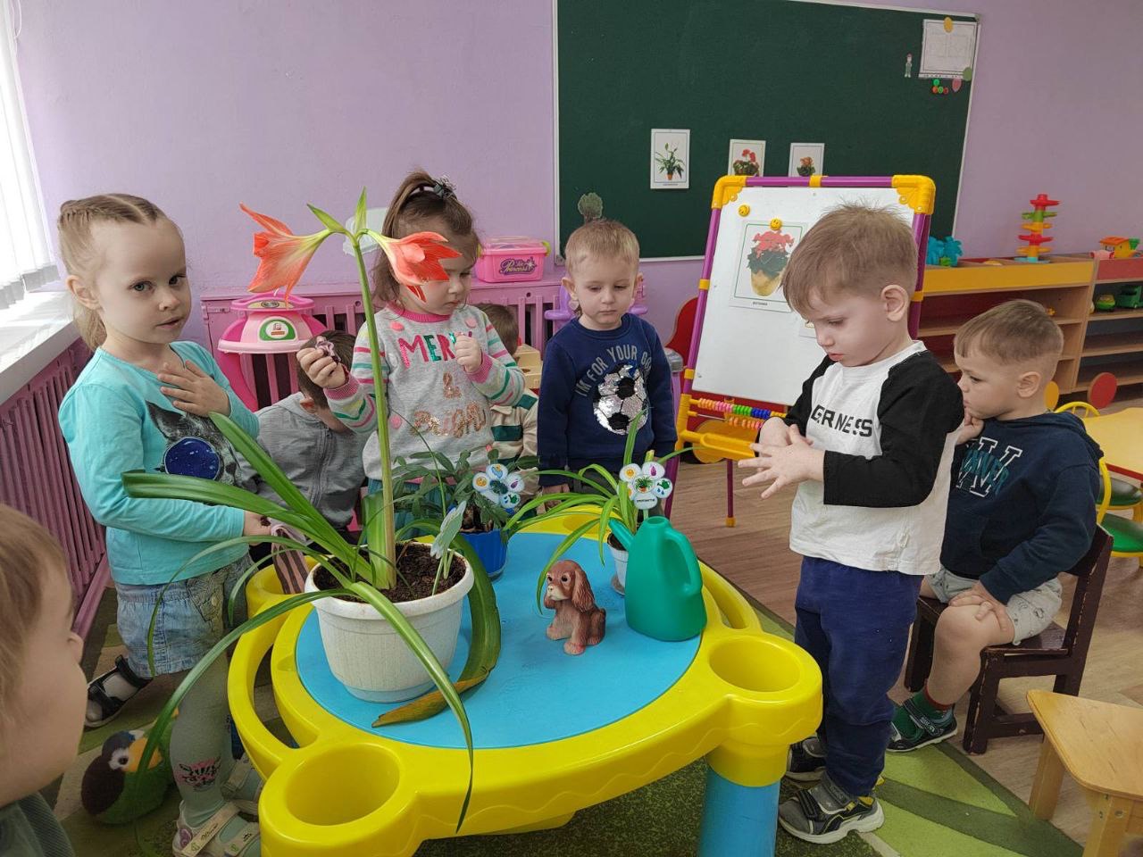Ухаживаем за комнатными растениями 