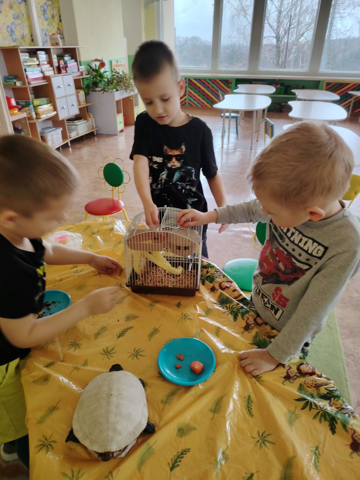 ХОМЯК МИККИ И ЧЕРЕПАХА АХА В ГОСТЯХ У ДЕТЕЙ