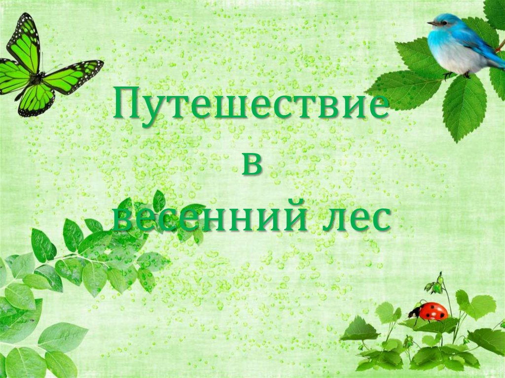 Путешествие в весенний лес (музыкальное развлечение)