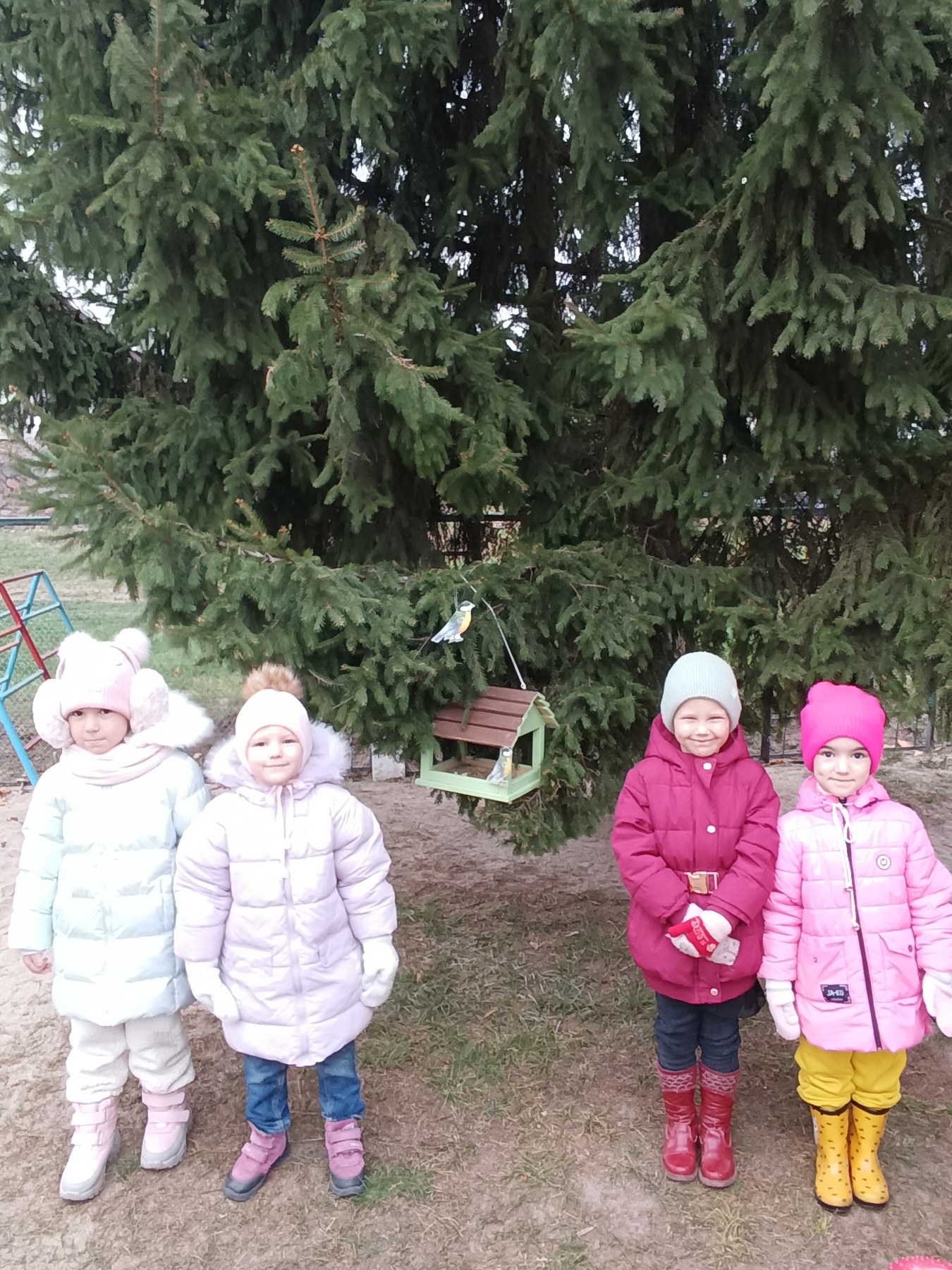 Покормите птиц зимой